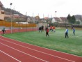 /album/priprava2/umelka-zs-10-12-11-6-jpg/